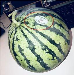 网红吃瓜八卦是真的吗,真相还是谣言? 第2张 网红吃瓜八卦是真的吗,真相还是谣言? 第2张